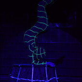 FUNNY CIRCUS фото 68