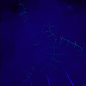 FUNNY CIRCUS фото 63