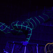 FUNNY CIRCUS фото 65