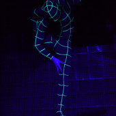 FUNNY CIRCUS фото 70