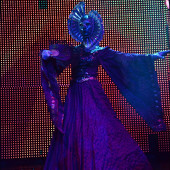 НОВОГОДНЯЯ НОЧЬ 2014 фото 349