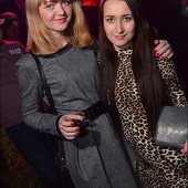 НОВОГОДНЯЯ НОЧЬ 2014 фото 416