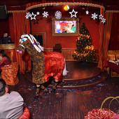 НОВОГОДНЯЯ НОЧЬ 2014 фото 83