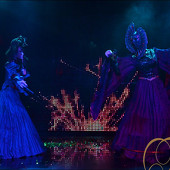 НОВОГОДНЯЯ НОЧЬ 2014 фото 347