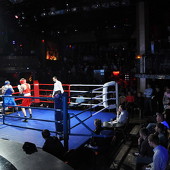 Бокс фото 48