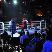 Бокс фото 49