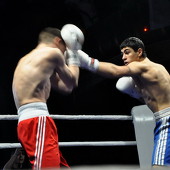 Бокс фото 80