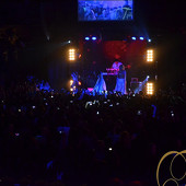 SEREBRO фото 177