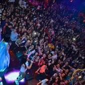 SEREBRO фото 228