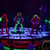 FLOWER POWER фото 31