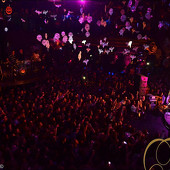 концерт группы ЗВЕРИ фото 111