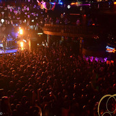 концерт группы ЗВЕРИ фото 107