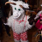 НОВОГОДНЯЯ НОЧЬ 2015 фото 31