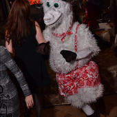 НОВОГОДНЯЯ НОЧЬ 2015 фото 39