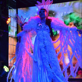 НОВОГОДНЯЯ НОЧЬ 2015 фото 54