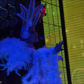 НОВОГОДНЯЯ НОЧЬ 2015 фото 155