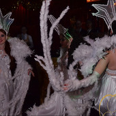 НОВОГОДНЯЯ НОЧЬ 2015 фото 160