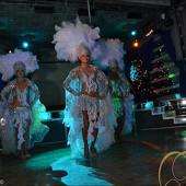 НОВОГОДНЯЯ НОЧЬ 2015 фото 210