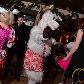 НОВОГОДНЯЯ НОЧЬ 2015 фото 219