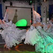 НОВОГОДНЯЯ НОЧЬ 2015 фото 229