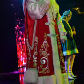 НОВОГОДНЯЯ НОЧЬ 2015 фото 233