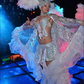 НОВОГОДНЯЯ НОЧЬ 2015 фото 247