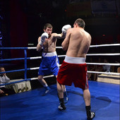 БОКС фото 77