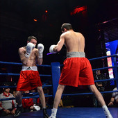 БОКС фото 39