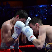 БОКС фото 46