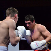 БОКС фото 41