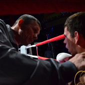 БОКС фото 63