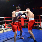 БОКС фото 49