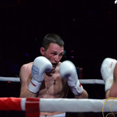 БОКС фото 48