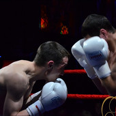 БОКС фото 34