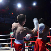 БОКС фото 42