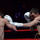 БОКС фото 33