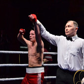 БОКС фото 68