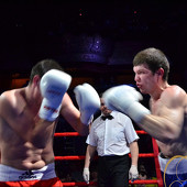 БОКС фото 82