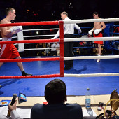 БОКС фото 38