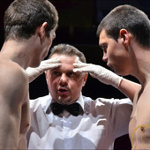 БОКС фото 76