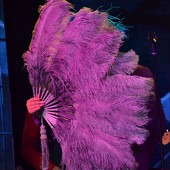 ЕВА ПОЛЬНА фото 73