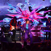 ЕВА ПОЛЬНА фото 48