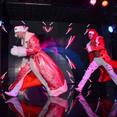 О ЧЁМ МОЛЧИТ СНЕГУРОЧКА? фото 35