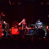 группа "ЗВЕРИ" фото 89