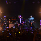 группа "ЗВЕРИ" фото 63