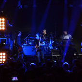 группа "ЗВЕРИ" фото 60