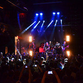 группа "ЗВЕРИ" фото 99