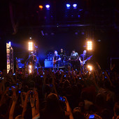 группа "ЗВЕРИ" фото 129