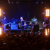 группа "ЗВЕРИ" фото 123