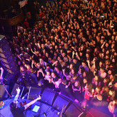 группа "ЗВЕРИ" фото 79